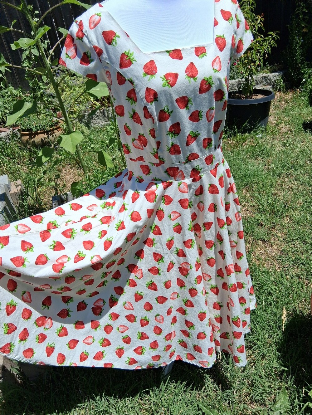 Magnolia Place Strawberry Swing Dress